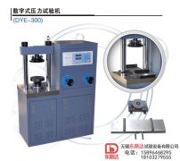數字式壓力試驗機